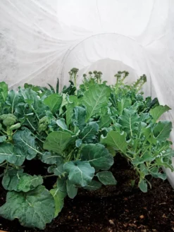 Summerweight Garden Fabric -Garden Care Series Store 32644 7936 tif