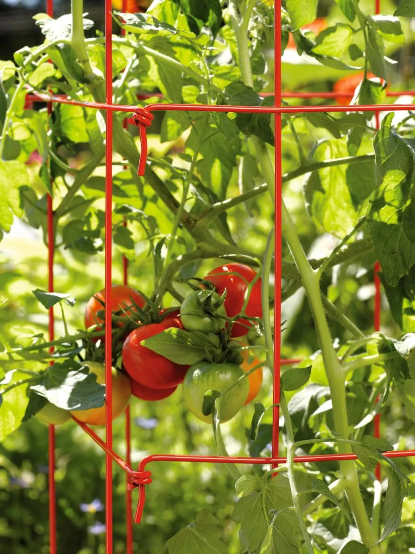 Tomato Towers, Set Of 2 2 Tomato Towers, Set Of 2 - Image 2