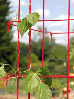 Bean Tower -Garden Care Series Store 35781 037 tif