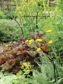 Essex Plant Supports 9 Essex Plant Supports -Garden Care Series Store 37423 280 tif