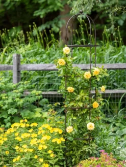 Jardin Round Obelisk, 7' -Garden Care Series Store 39 530 1668 tif