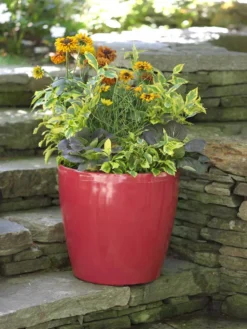 Viva Round Self-Watering Rolling Planter, 17.25” Diameter 9 Viva Round Self-Watering Rolling Planter, 17.25” Diameter -Garden Care Series Store 39326 046 tif