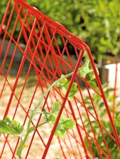 Deluxe Cucumber Trellis -Garden Care Series Store 39806 542 tif
