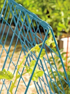 Deluxe Cucumber Trellis -Garden Care Series Store 39806 BLUE 100 tif