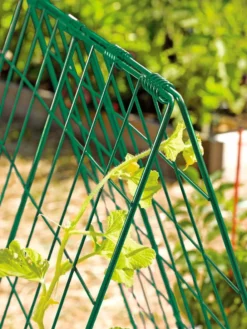 Deluxe Cucumber Trellis -Garden Care Series Store 39806 GR edit tif
