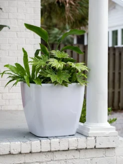 Viva Square Self-Watering Rolling Planter, 20" Diameter, Set Of 2 -Garden Care Series Store 3 4 crop 8612930 0033 tif