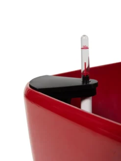 Viva Square Self-Watering Rolling Planter, 20" Diameter, Set Of 2 -Garden Care Series Store 3 4 crop 8612930 0107