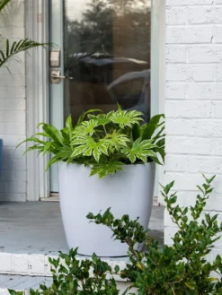 Viva Round Self-Watering Rolling Planter, 20" Diameter, Set Of 2 -Garden Care Series Store 3 4 crop 8612933 0025 tif