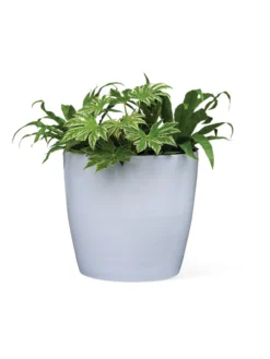 Viva Round Self-Watering Rolling Planter, 20" Diameter, Set Of 2 -Garden Care Series Store 3 4 crop 8612933 0026 tif