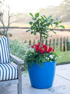 Viva Round Self-Watering Rolling Planter, 20" Diameter, Set Of 2 -Garden Care Series Store 3 4 crop 8612933 5312 tif