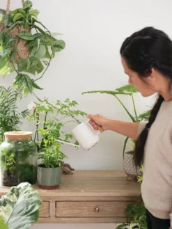 Pinpoint Indoor Watering Can 13 Pinpoint Indoor Watering Can -Garden Care Series Store 3 4 crop 8612963 3774