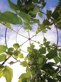 Jardin Tower 10 Jardin Tower -Garden Care Series Store 3 4 crop 8612997 0033