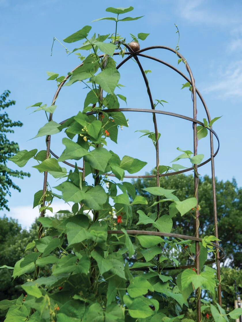 Jardin Tower 1 Jardin Tower