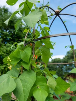 Jardin Tower 8 Jardin Tower -Garden Care Series Store 3 4 crop 8612997 0058