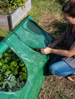 Multi Cloche -Garden Care Series Store 3 4 crop 8613213 0245