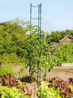 Stacking Tomato Ladders, Set Of 6 -Garden Care Series Store 40309 100 tif