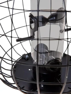 Mixed Seed Globe Cage Feeder -Garden Care Series Store 8586659 6400