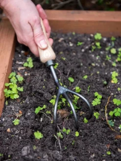 Garden Care Series Store -Garden Care Series Store 8586971 3014 tif