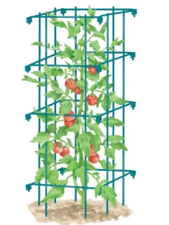 Tomato Cage, Single -Garden Care Series Store 8587039 TomatoCage BLUE tif