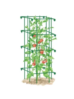 Tomato Cage, Single -Garden Care Series Store 8587039 TomatoCage GRN tif