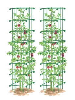 Tomato Towers, Set Of 2 7 Tomato Towers, Set Of 2 -Garden Care Series Store 8587041 0006 GRN tif