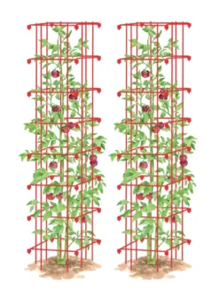 Tomato Towers, Set Of 2
