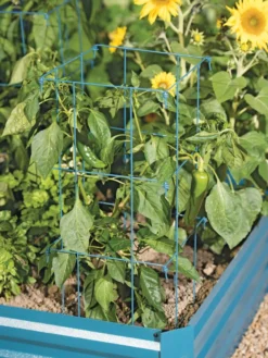 Pepper And Eggplant Cages, Set Of 3 8 Pepper And Eggplant Cages, Set Of 3 -Garden Care Series Store 8587048 9792 tif