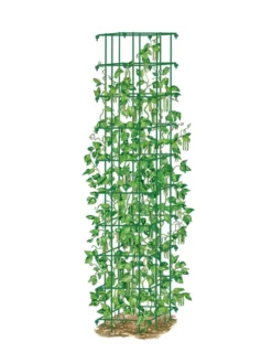 Bean Tower -Garden Care Series Store 8587060 0008 GRN tif