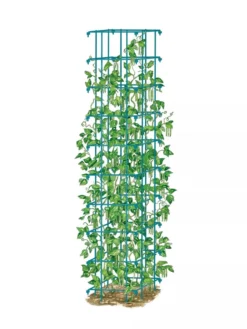Bean Tower -Garden Care Series Store 8587060 BeanTower BLUE