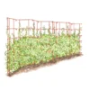Expandable Pea Trellis