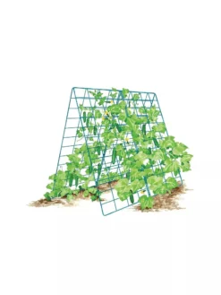 Deluxe Cucumber Trellis -Garden Care Series Store 8587083 001 BLUE Cukes two sided deluxe cucumber trellis support storm blue 3 4