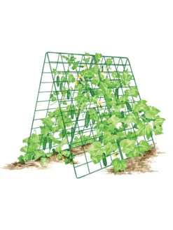 Deluxe Cucumber Trellis -Garden Care Series Store 8587083 001 GRN tif