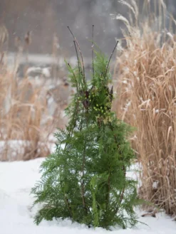 Jardin Pot Trellis -Garden Care Series Store 8587120 009 tif