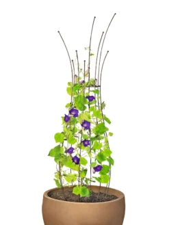 Jardin Pot Trellis -Garden Care Series Store 8587120 1006 tif