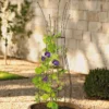 Jardin Pot Trellis