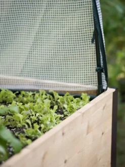 Protection Frame & Covers, 2' X 8' -Garden Care Series Store 8587631 265 tif