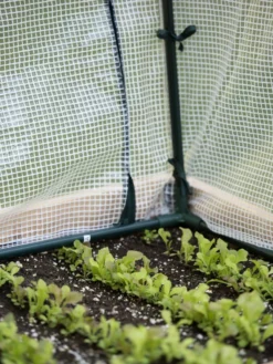 Protection Frame & Covers, 2' X 4' -Garden Care Series Store 8587631 271 tif 1