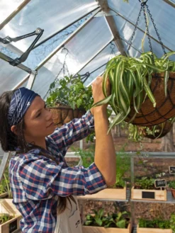 Canopia® By Palram Balance Greenhouse, 8' X 12' 29 Canopia® By Palram Balance Greenhouse, 8' X 12' -Garden Care Series Store 8588023 07V jpg