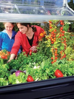 Canopia® By Palram Plant Inn™ Raised Bed Greenhouse, 4' X 4' -Garden Care Series Store 8588308 03V tif