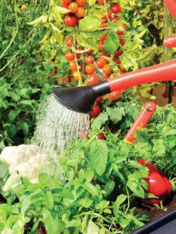 Canopia® By Palram Plant Inn™ Raised Bed Greenhouse, 4' X 4' -Garden Care Series Store 8588308 06V tif