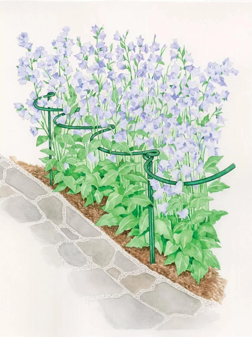 Tidy Path Supports 3 Tidy Path Supports - Image 3