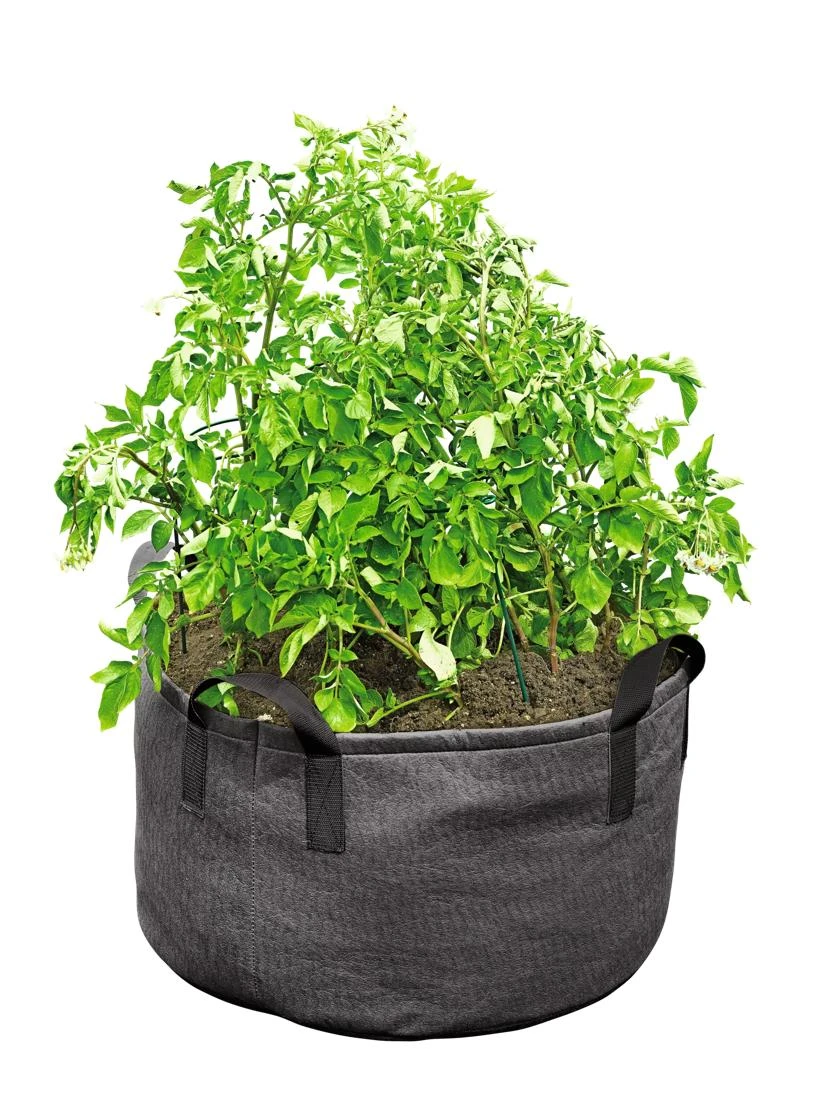 Gardener's Best® Jumbo Potato Grow Bag 1 Gardener's Best® Jumbo Potato Grow Bag