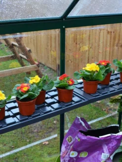 Canopia® By Palram Shelf Kit For Greenhouses, Set Of 2 Shelves 12 Canopia® By Palram Shelf Kit For Greenhouses, Set Of 2 Shelves -Garden Care Series Store 8591033 09V jpg