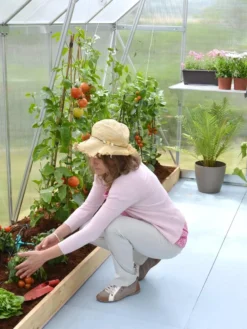 Canopia® By Palram Essence™ Greenhouse, 8' X 12' -Garden Care Series Store 8591356 04V tif