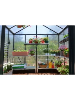 Canopia® By Palram Glory™ Greenhouse, 8' -Garden Care Series Store 8591547 02v
