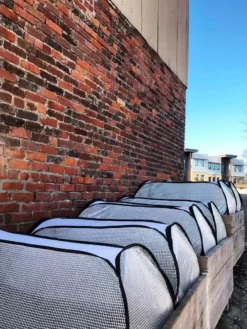 Row Shelter Accelerator -Garden Care Series Store 8591990 01IN tif