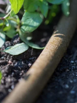 Premium 1/2" Soaker Hose 11 Premium 1/2" Soaker Hose -Garden Care Series Store 8592730 4933 tif