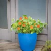 Viva Round Self-Watering Rolling Planter, 17.25” Diameter