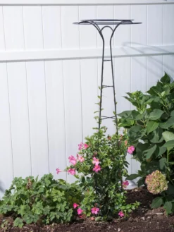 Essex Tuteur, 63" -Garden Care Series Store 8594162 0023 tif