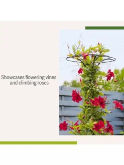 Essex Tuteur, 63" -Garden Care Series Store 8594162 4